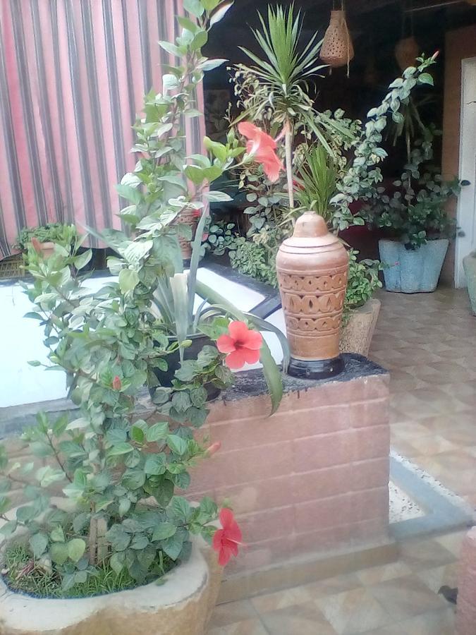 Happy Land Luxor Hostel Ngoại thất bức ảnh